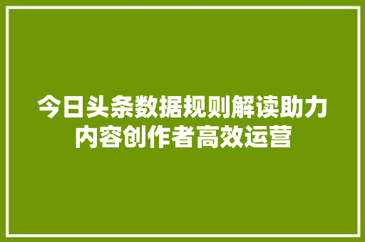 今日头条数据规则解读助力内容创作者高效运营