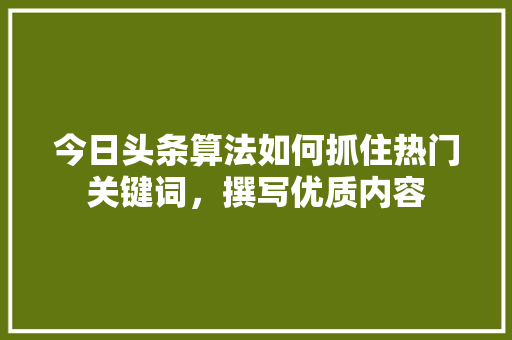今日头条算法如何抓住热门关键词，撰写优质内容