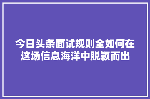 今日头条面试规则全如何在这场信息海洋中脱颖而出