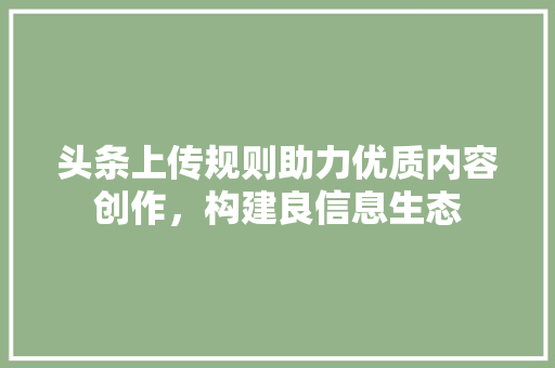 头条上传规则助力优质内容创作，构建良信息生态