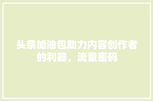 头条加油包助力内容创作者的利器，流量密码