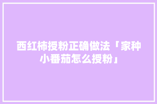 西红柿授粉正确做法「家种小番茄怎么授粉」