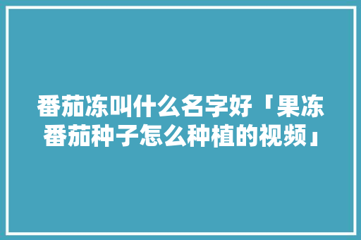 番茄冻叫什么名字好「果冻番茄种子怎么种植的视频」