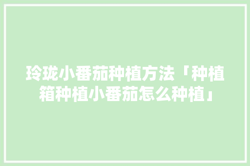玲珑小番茄种植方法「种植箱种植小番茄怎么种植」 玲珑小番茄种植方法「种植箱种植小番茄怎么种植」 番茄病虫害防治
