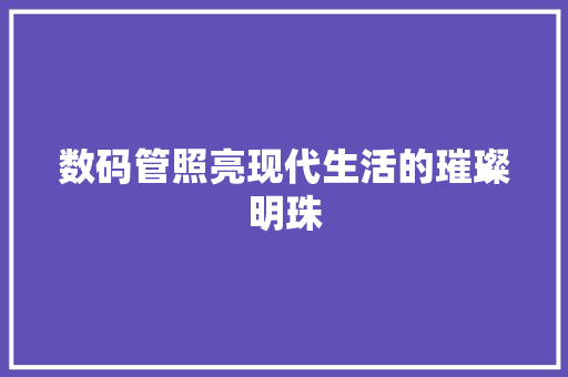 数码管照亮现代生活的璀璨明珠