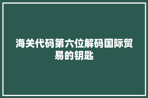 海关代码第六位解码国际贸易的钥匙