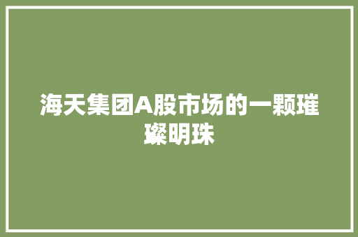 海天集团A股市场的一颗璀璨明珠
