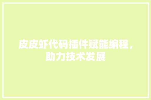 皮皮虾代码插件赋能编程，助力技术发展