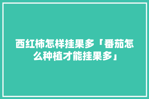 西红柿怎样挂果多「番茄怎么种植才能挂果多」