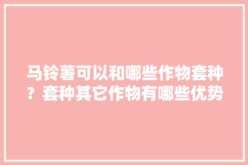 马铃薯可以和哪些作物套种？套种其它作物有哪些优势？求套种技术「杂交土豆番茄怎么种植的视频」