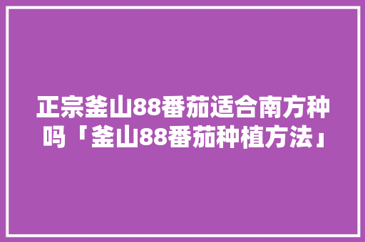 正宗釜山88番茄适合南方种吗「釜山88番茄种植方法」 正宗釜山88番茄适合南方种吗「釜山88番茄种植方法」 花朵知识