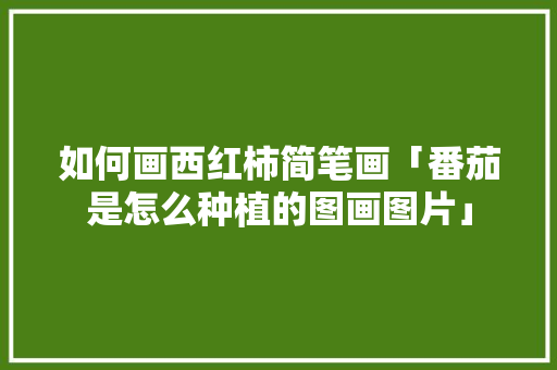 如何画西红柿简笔画「番茄是怎么种植的图画图片」 如何画西红柿简笔画「番茄是怎么种植的图画图片」 植物种类
