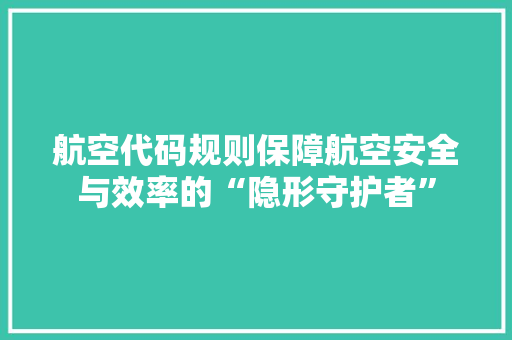 航空代码规则保障航空安全与效率的“隐形守护者”