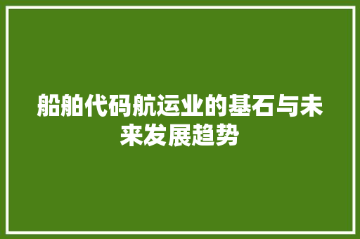 船舶代码航运业的基石与未来发展趋势