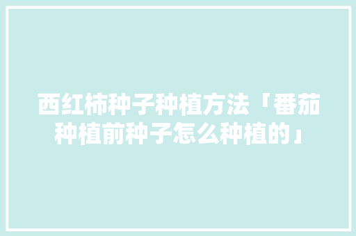 西红柿种子种植方法「番茄种植前种子怎么种植的」 番茄种植技巧 西红柿种子种植方法「番茄种植前种子怎么种植的」 西红柿种子种植方法「番茄种植前种子怎么种植的」 番茄种植技巧