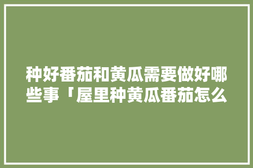 种好番茄和黄瓜需要做好哪些事「屋里种黄瓜番茄怎么种植视频」 种好番茄和黄瓜需要做好哪些事「屋里种黄瓜番茄怎么种植视频」 番茄种植技巧