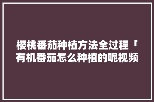 樱桃番茄种植方法全过程「有机番茄怎么种植的呢视频」 樱桃番茄种植方法全过程「有机番茄怎么种植的呢视频」 番茄种植技巧