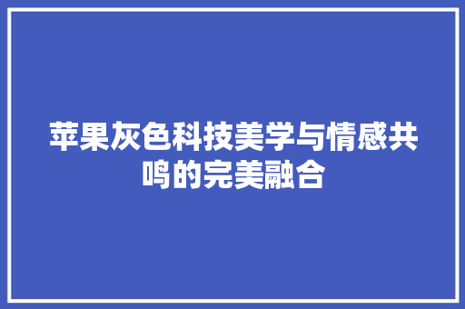 苹果灰色科技美学与情感共鸣的完美融合
