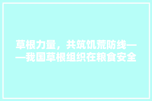 草根力量，共筑饥荒防线——我国草根组织在粮食安全领域的担当