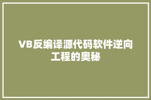 VB反编译源代码软件逆向工程的奥秘 花朵知识