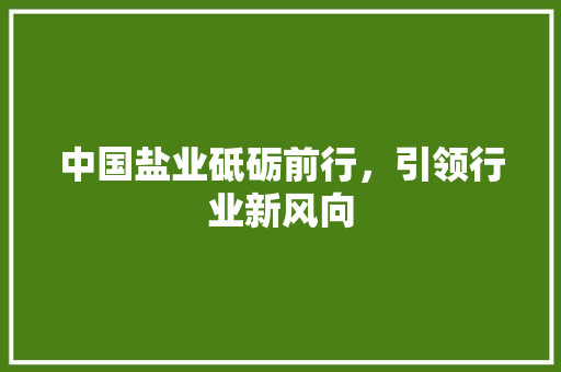 中国盐业砥砺前行，引领行业新风向