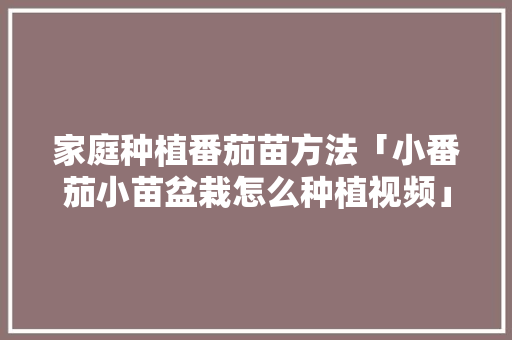 家庭种植番茄苗方法「小番茄小苗盆栽怎么种植视频」 家庭种植番茄苗方法「小番茄小苗盆栽怎么种植视频」 番茄种植技巧