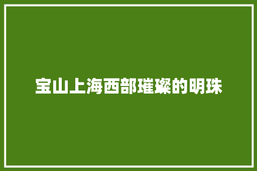 宝山上海西部璀璨的明珠