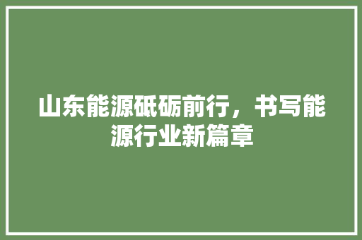 山东能源砥砺前行，书写能源行业新篇章