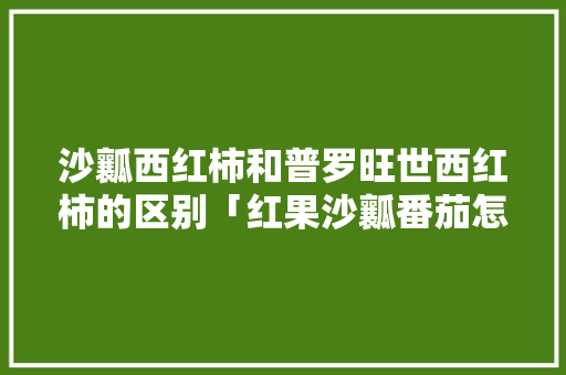 沙瓤西红柿和普罗旺世西红柿的区别「红果沙瓤番茄怎么种植的」 沙瓤西红柿和普罗旺世西红柿的区别「红果沙瓤番茄怎么种植的」 番茄种植技巧