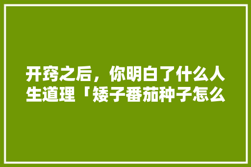 开窍之后，你明白了什么人生道理「矮子番茄种子怎么种植视频」 开窍之后，你明白了什么人生道理「矮子番茄种子怎么种植视频」 种植技巧