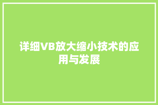 详细VB放大缩小技术的应用与发展
