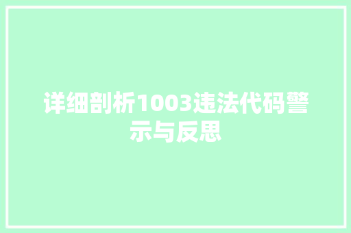 详细剖析1003违法代码警示与反思