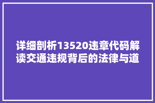 详细剖析13520违章代码解读交通违规背后的法律与道德考量