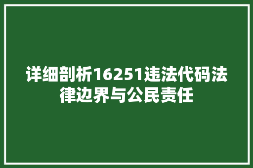详细剖析16251违法代码法律边界与公民责任