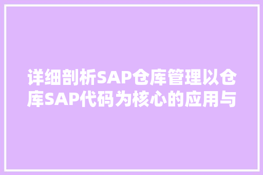详细剖析SAP仓库管理以仓库SAP代码为核心的应用与方法