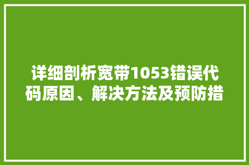 详细剖析宽带1053错误代码原因、解决方法及预防措施