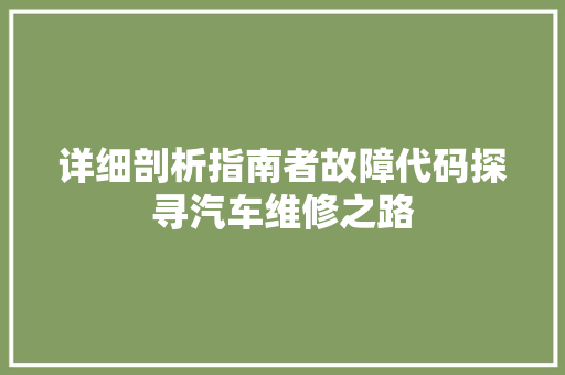 详细剖析指南者故障代码探寻汽车维修之路