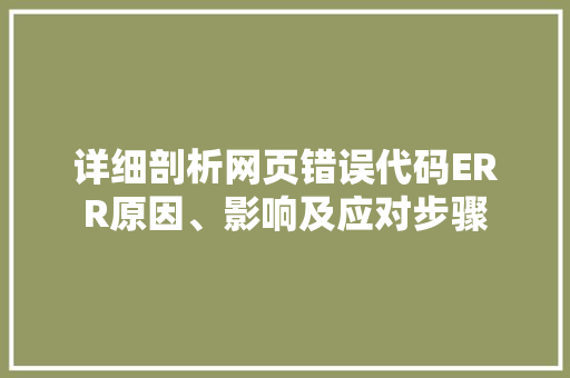 详细剖析网页错误代码ERR原因、影响及应对步骤