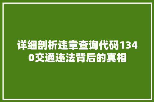 详细剖析违章查询代码1340交通违法背后的真相 种植技巧