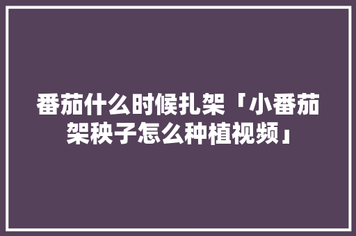 番茄什么时候扎架「小番茄架秧子怎么种植视频」