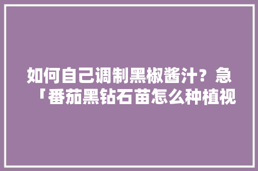 如何自己调制黑椒酱汁？急「番茄黑钻石苗怎么种植视频」 如何自己调制黑椒酱汁？急「番茄黑钻石苗怎么种植视频」 番茄种植技巧