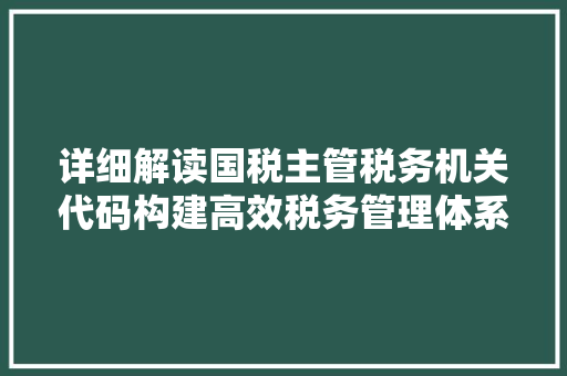 详细解读国税主管税务机关代码构建高效税务管理体系的关键