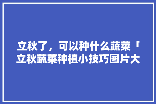 立秋了，可以种什么蔬菜「立秋蔬菜种植小技巧图片大全」 立秋了，可以种什么蔬菜「立秋蔬菜种植小技巧图片大全」 番茄种植技巧