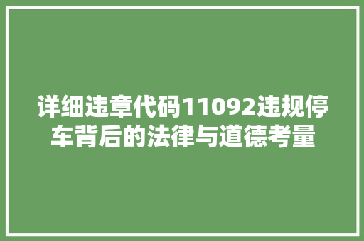 详细违章代码11092违规停车背后的法律与道德考量
