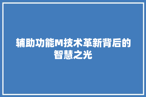 辅助功能M技术革新背后的智慧之光
