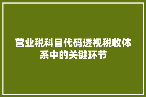 营业税科目代码透视税收体系中的关键环节