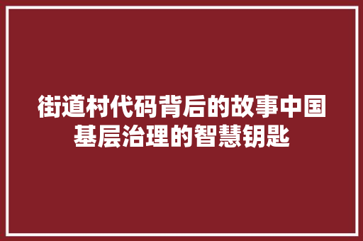 街道村代码背后的故事中国基层治理的智慧钥匙