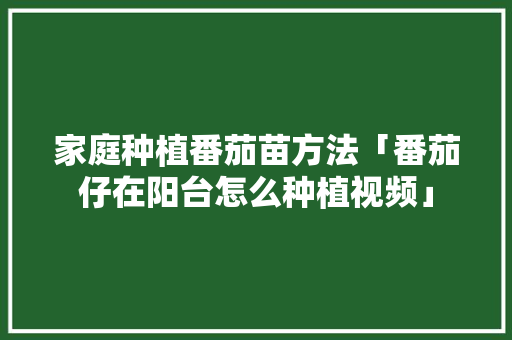 家庭种植番茄苗方法「番茄仔在阳台怎么种植视频」 种植技巧 家庭种植番茄苗方法「番茄仔在阳台怎么种植视频」 家庭种植番茄苗方法「番茄仔在阳台怎么种植视频」 种植技巧