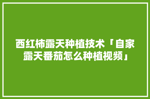 西红柿露天种植技术「自家露天番茄怎么种植视频」 西红柿露天种植技术「自家露天番茄怎么种植视频」 植物种类