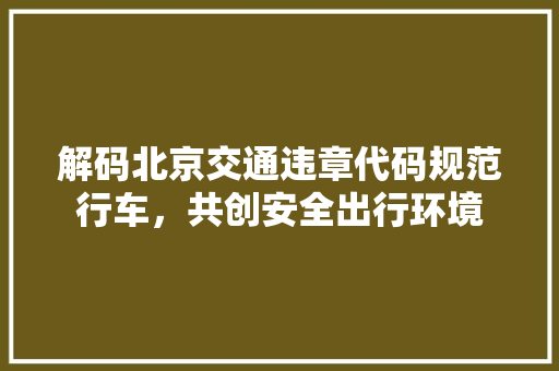 解码北京交通违章代码规范行车，共创安全出行环境